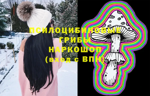 СК Магадан