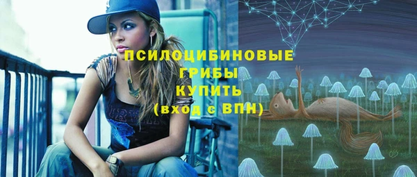 Альфа ПВП Магас