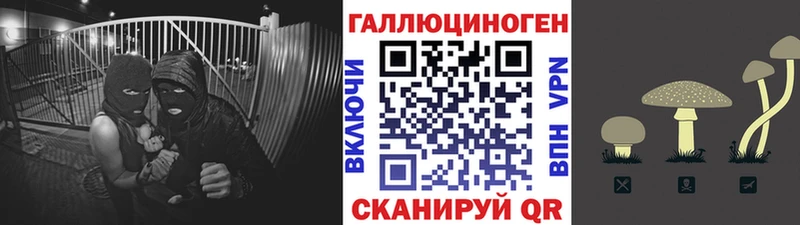 Псилоцибиновые грибы прущие грибы  Тетюши 
